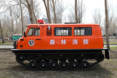 美女的隐藏部位是什么图片