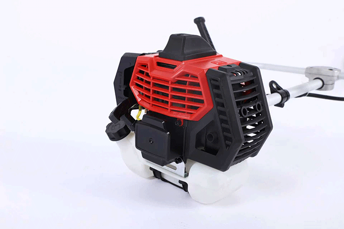 美女的隐藏部位是什么图片