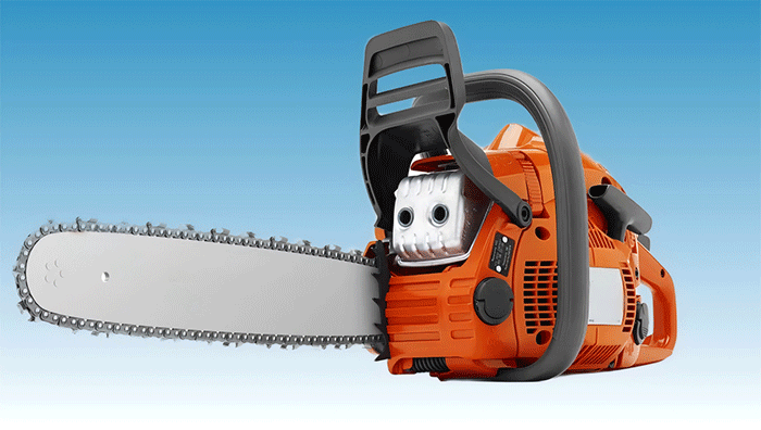 美女的隐藏部位是什么图片