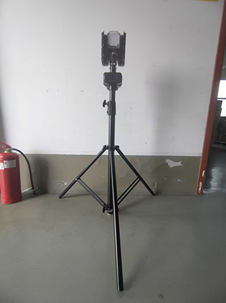 美女的隐藏部位是什么图片