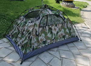 美女的隐藏部位是什么图片