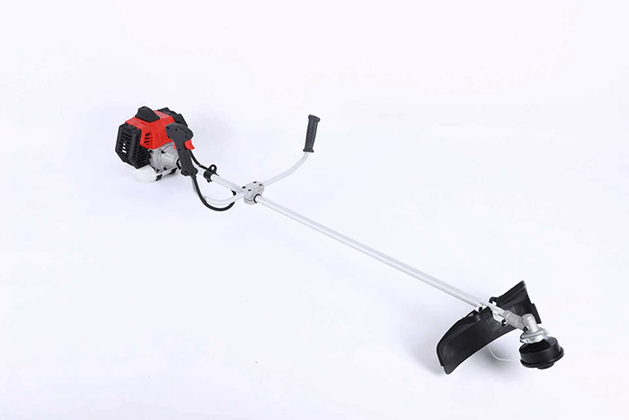 美女的隐藏部位是什么图片