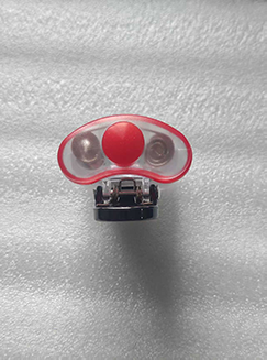 美女的隐藏部位是什么图片