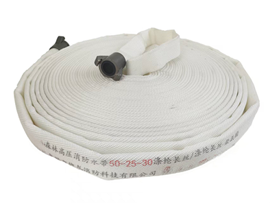 美女的隐藏部位是什么图片