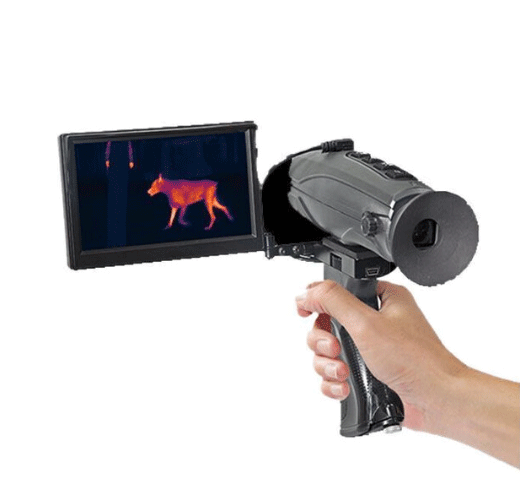 美女的隐藏部位是什么图片