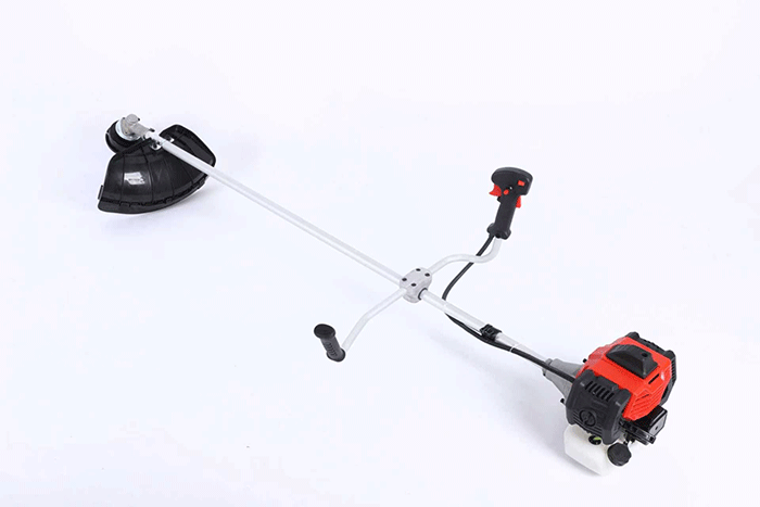 美女的隐藏部位是什么图片