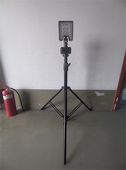 美女的隐藏部位是什么图片