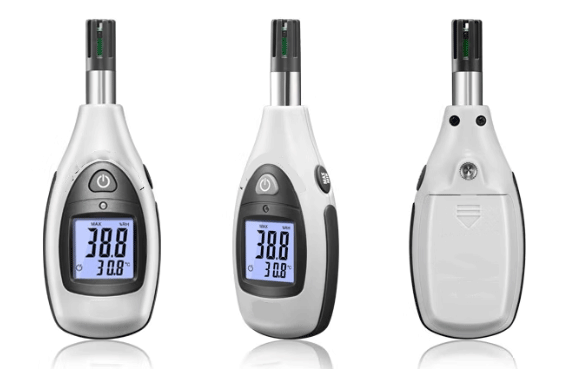 美女的隐藏部位是什么图片