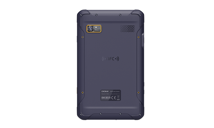 美女的隐藏部位是什么图片