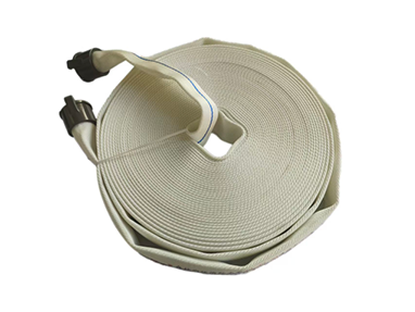 美女的隐藏部位是什么图片