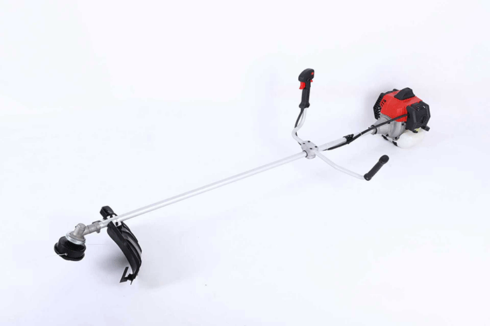 美女的隐藏部位是什么图片