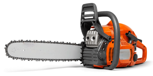 美女的隐藏部位是什么图片