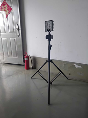 美女的隐藏部位是什么图片