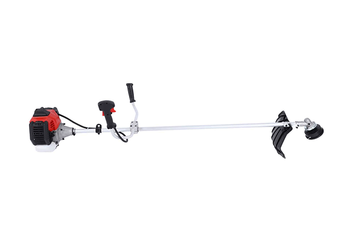 美女的隐藏部位是什么图片