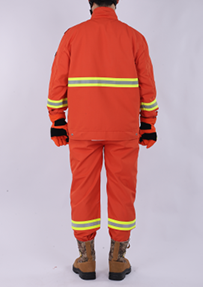 美女的隐藏部位是什么图片