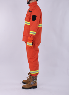 美女的隐藏部位是什么图片