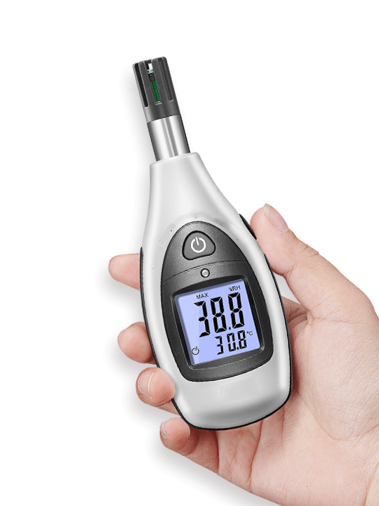 美女的隐藏部位是什么图片