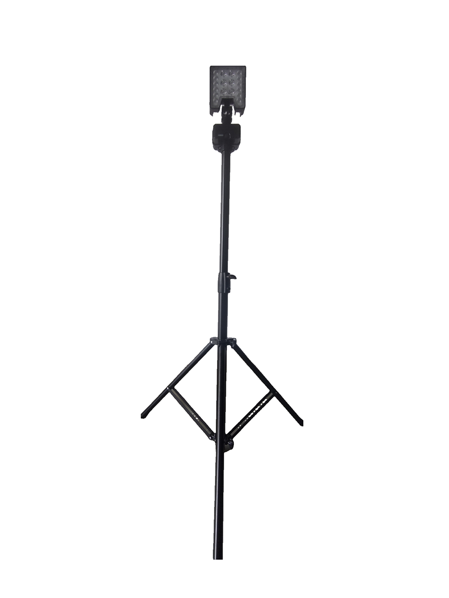 美女的隐藏部位是什么图片