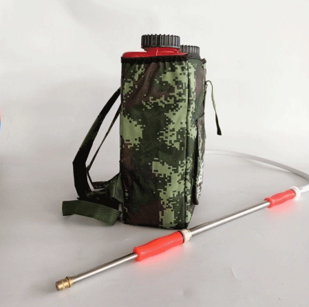 美女的隐藏部位是什么图片