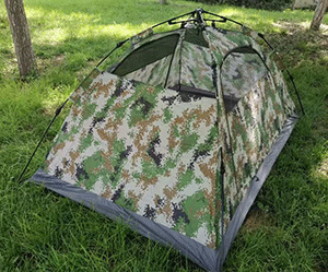 美女的隐藏部位是什么图片