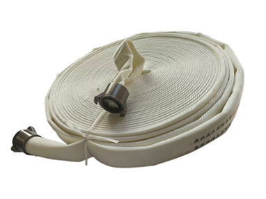 美女的隐藏部位是什么图片