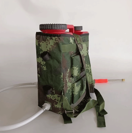 美女的隐藏部位是什么图片