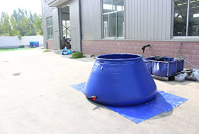 美女的隐藏部位是什么图片