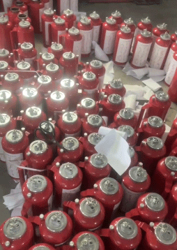 美女的隐藏部位是什么图片