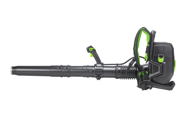 美女的隐藏部位是什么图片