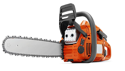 美女的隐藏部位是什么图片