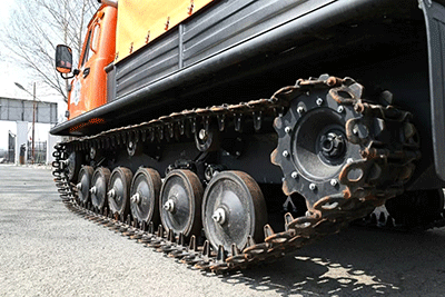 美女的隐藏部位是什么图片