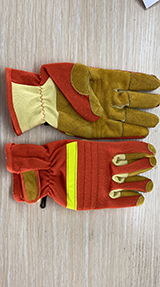 美女的隐藏部位是什么图片