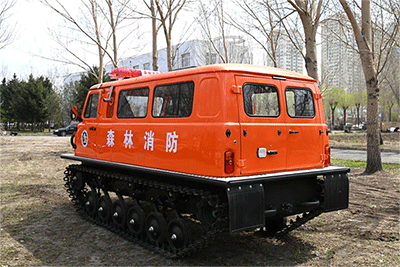 美女的隐藏部位是什么图片