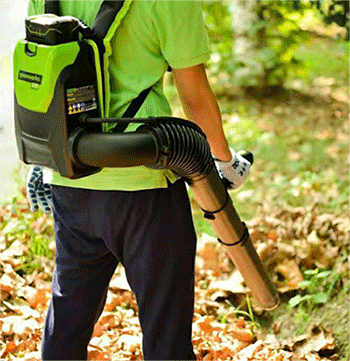 美女的隐藏部位是什么图片