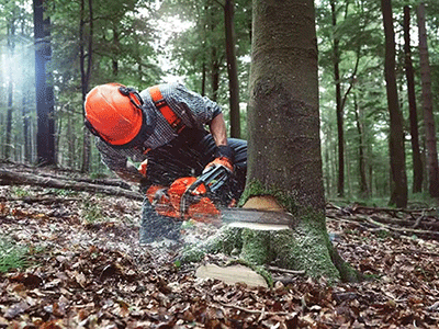 美女的隐藏部位是什么图片