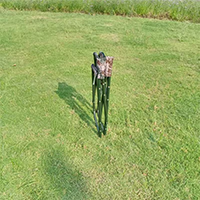 美女的隐藏部位是什么图片