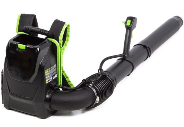 美女的隐藏部位是什么图片