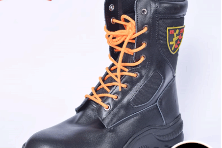 美女的隐藏部位是什么图片