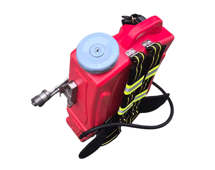 美女的隐藏部位是什么图片