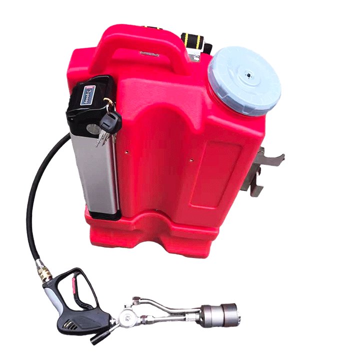 美女的隐藏部位是什么图片