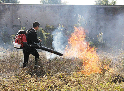 1761115771685078.png 图片28.png