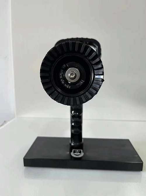 美女的隐藏部位是什么图片