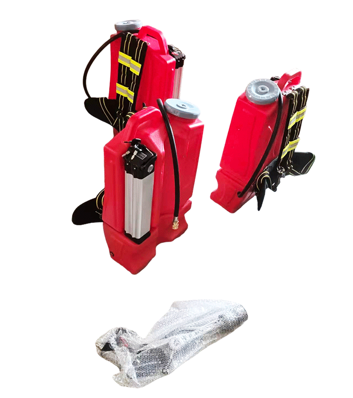 美女的隐藏部位是什么图片