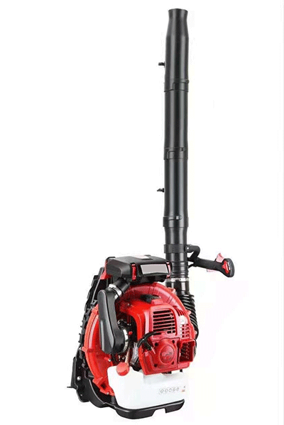 美女的隐藏部位是什么图片