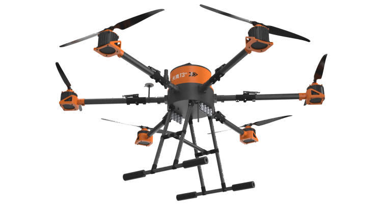 美女的隐藏部位是什么图片