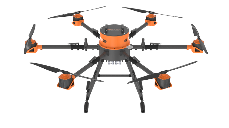 美女的隐藏部位是什么图片