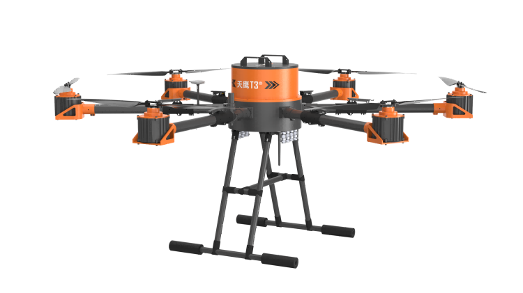 美女的隐藏部位是什么图片