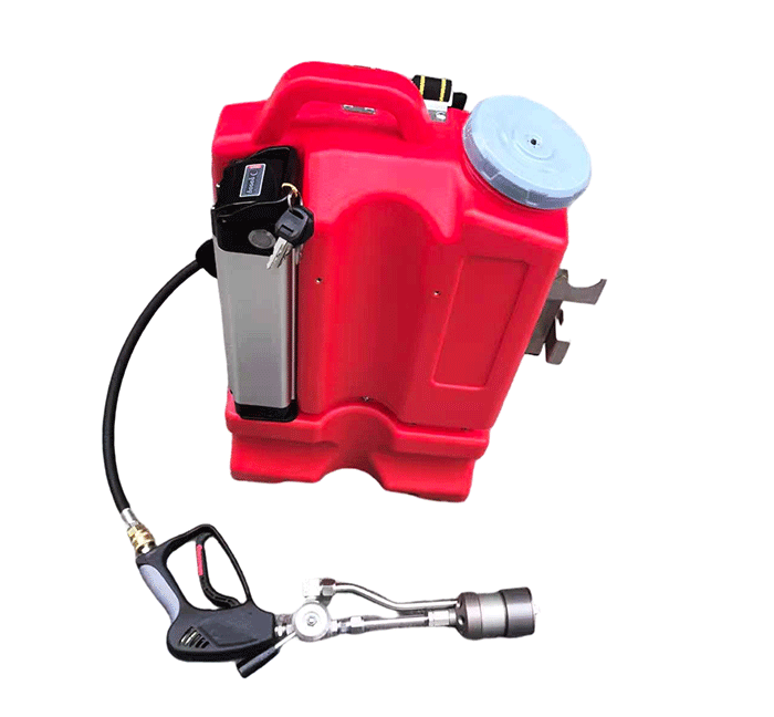 美女的隐藏部位是什么图片