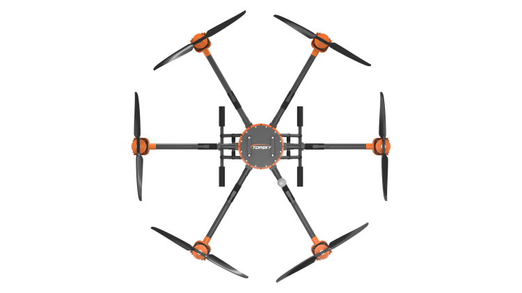 美女的隐藏部位是什么图片