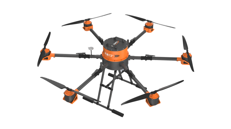 美女的隐藏部位是什么图片